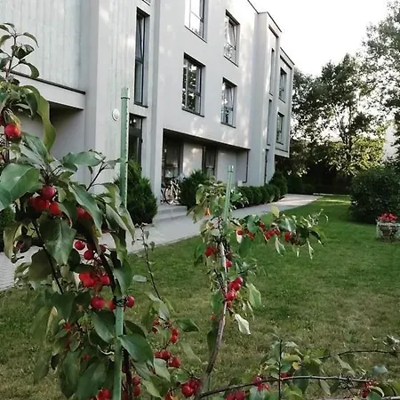 Marko Apartamentai 公寓 *
