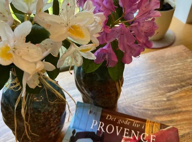 דירה Marko Apartamentai פלאנגה